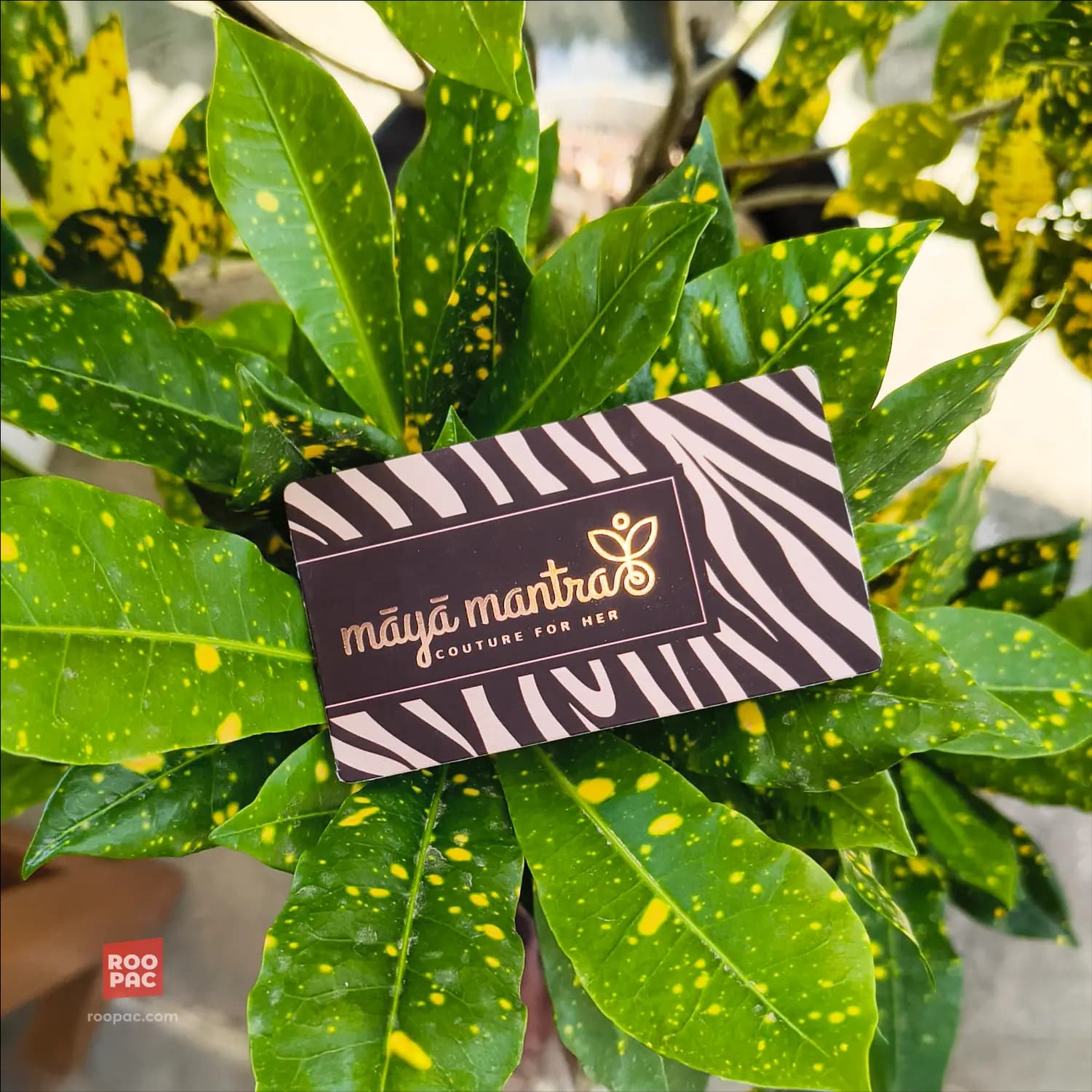 Business Card Signature