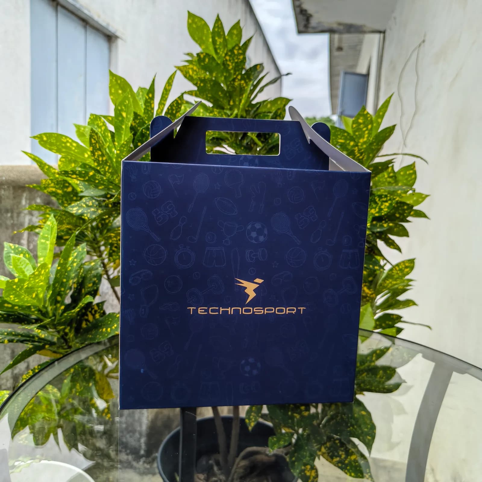 Gable Monocarton Box