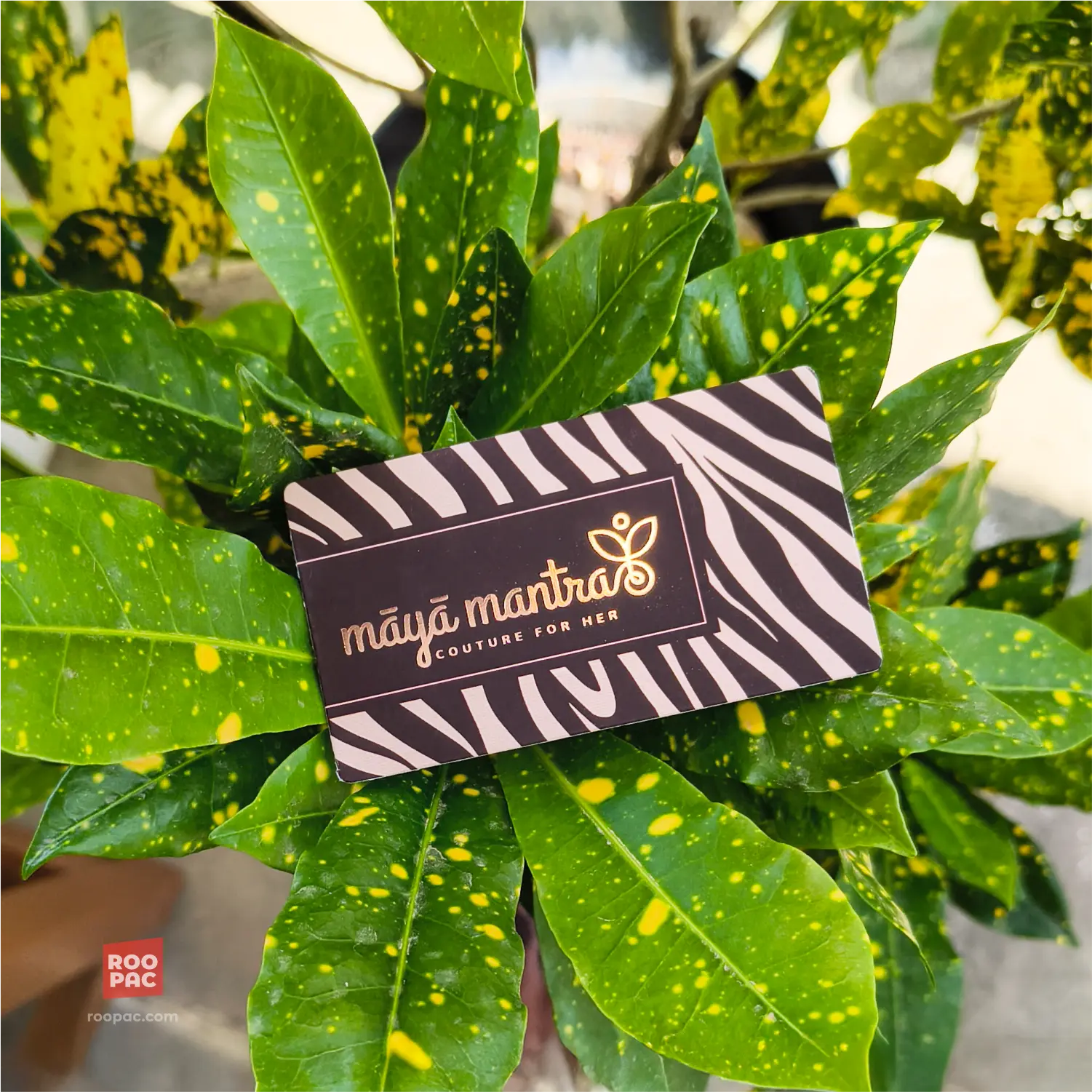 Businesscard Signature