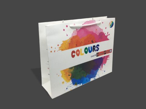 Multi Color Paper Bag