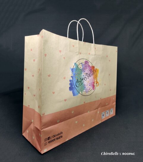 Multi colour paper bags for boutique