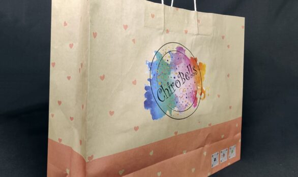 Multi colour paper bags for boutique