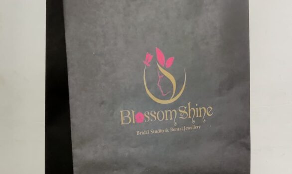 Discover beauty, safety, and sustainability with our Paper Bags at Blossom Shine, Trichy.