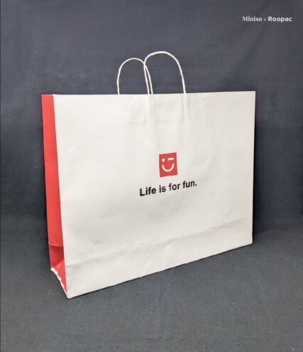 Large Paper bag