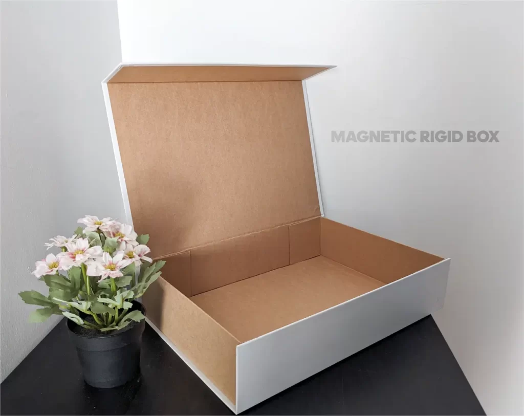Roopac magnetic box