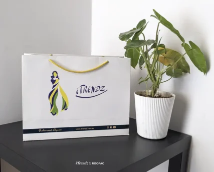Roopac's elegant Paper Bag designed specifically for carrying sarees.