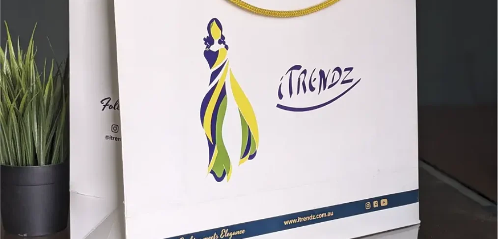 Worldwide shipping available for Roopac's saree-special Paper Bag.