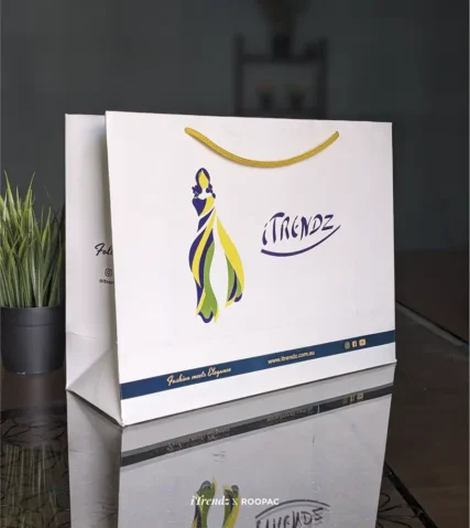Worldwide shipping available for Roopac's saree-special Paper Bag.