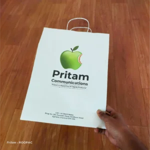 Sleek and functional paper bag by Roopac for Pritam Communications