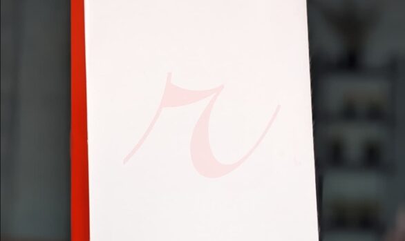 Ramsons Clothing Paper Bags by Roopac, showcasing quality packaging for fashion in Kerala